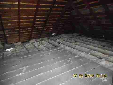 14036 Marlowe (9)_m.jpg